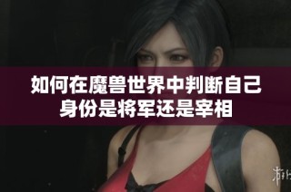 如何在魔兽世界中判断自己身份是将军还是宰相