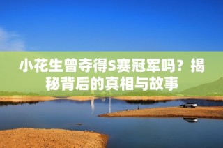 小花生曾夺得S赛冠军吗？揭秘背后的真相与故事