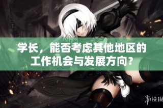 学长，能否考虑其他地区的工作机会与发展方向？