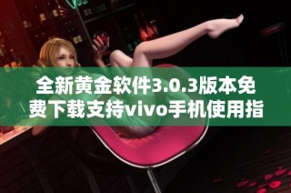 全新黄金软件3.0.3版本免费下载支持vivo手机使用指南