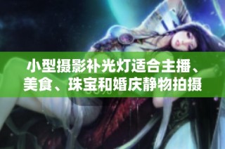 小型摄影补光灯适合主播、美食、珠宝和婚庆静物拍摄