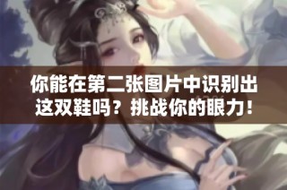 你能在第二张图片中识别出这双鞋吗？挑战你的眼力！