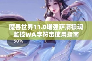 魔兽世界11.0增强萨满狼魂监控WA字符串使用指南