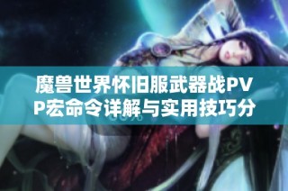 魔兽世界怀旧服武器战PVP宏命令详解与实用技巧分享