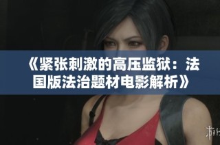《紧张刺激的高压监狱：法国版法治题材电影解析》