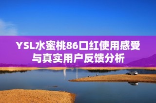 YSL水蜜桃86口红使用感受与真实用户反馈分析