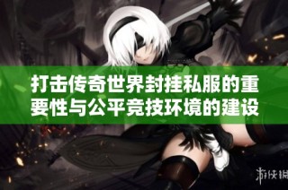 打击传奇世界封挂私服的重要性与公平竞技环境的建设