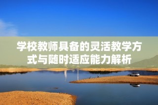 学校教师具备的灵活教学方式与随时适应能力解析