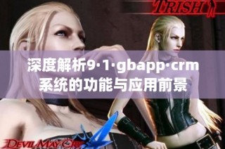 深度解析9·1·gbapp·crm系统的功能与应用前景