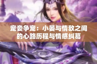 宠妾争宠：小晏与情敌之间的心路历程与情感纠葛