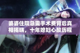 婆婆住院急需手术费背后真相揭晓，十年媳妇心酸历程令人心痛