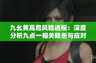九幺黄高危风险透视：深度分析九点一相关隐患与应对策略