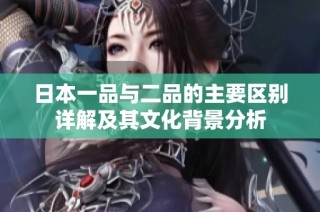 日本一品与二品的主要区别详解及其文化背景分析