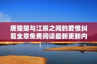 唐楚楚与江辰之间的爱恨纠葛全章免费阅读最新更新内容分享