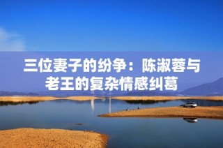 三位妻子的纷争：陈淑蓉与老王的复杂情感纠葛