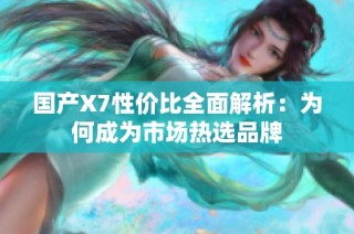 国产X7性价比全面解析：为何成为市场热选品牌