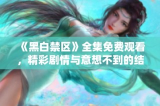 《黑白禁区》全集免费观看，精彩剧情与意想不到的结局揭秘