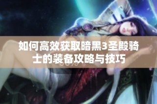 如何高效获取暗黑3圣殿骑士的装备攻略与技巧