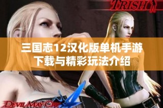 三国志12汉化版单机手游下载与精彩玩法介绍