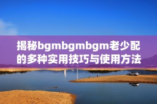 揭秘bgmbgmbgm老少配的多种实用技巧与使用方法