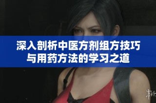 深入剖析中医方剂组方技巧与用药方法的学习之道