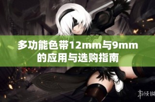 多功能色带12mm与9mm的应用与选购指南
