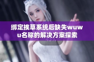 绑定挨草系统后缺失wuwu名称的解决方案探索