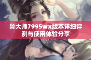 鲁大师7995wx版本详细评测与使用体验分享