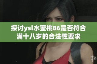 探讨ysl水蜜桃86是否符合满十八岁的合法性要求