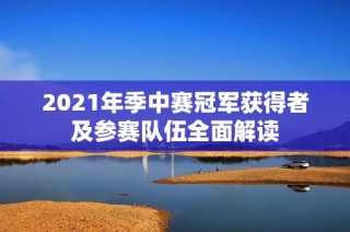 2021年季中赛冠军获得者及参赛队伍全面解读
