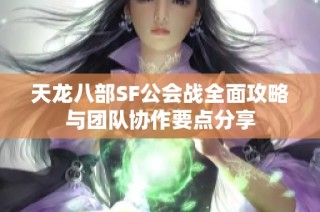 天龙八部SF公会战全面攻略与团队协作要点分享