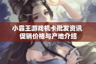 小霸王游戏机卡批发资讯 促销价格与产地介绍