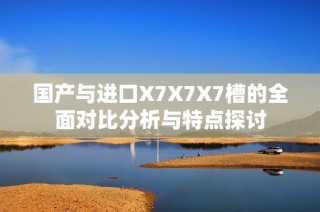 国产与进口X7X7X7槽的全面对比分析与特点探讨