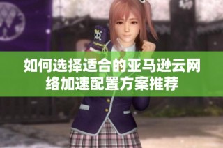 如何选择适合的亚马逊云网络加速配置方案推荐