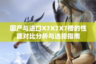 国产与进口X7X7X7槽的性能对比分析与选择指南