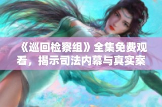 《巡回检察组》全集免费观看，揭示司法内幕与真实案件解析