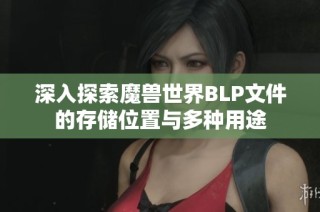 深入探索魔兽世界BLP文件的存储位置与多种用途