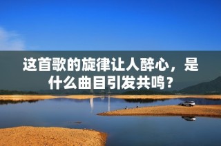 这首歌的旋律让人醉心，是什么曲目引发共鸣？