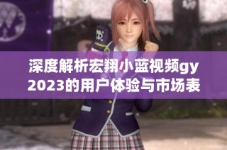 深度解析宏翔小蓝视频gy2023的用户体验与市场表现