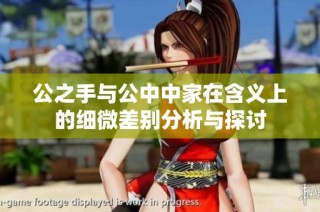 公之手与公中中家在含义上的细微差别分析与探讨