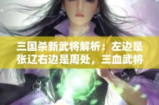 三国杀新武将解析：左边是张辽右边是周处，三血武将的挑战与魅力