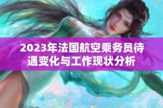 2023年法国航空乘务员待遇变化与工作现状分析