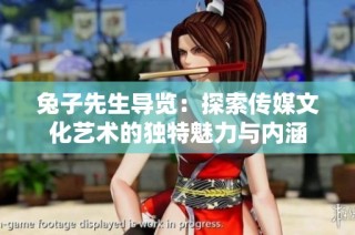 兔子先生导览：探索传媒文化艺术的独特魅力与内涵