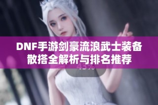 DNF手游剑豪流浪武士装备散搭全解析与排名推荐