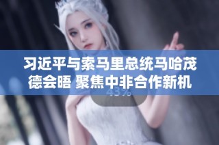 习近平与索马里总统马哈茂德会晤 聚焦中非合作新机遇