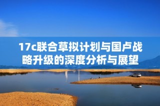 17c联合草拟计划与国卢战略升级的深度分析与展望