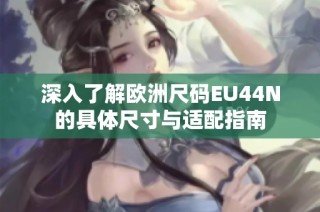 深入了解欧洲尺码EU44N的具体尺寸与适配指南