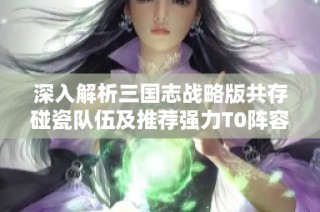 深入解析三国志战略版共存碰瓷队伍及推荐强力T0阵容攻略