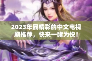 2023年最精彩的中文电视剧推荐，快来一睹为快！