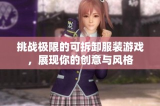 挑战极限的可拆卸服装游戏，展现你的创意与风格